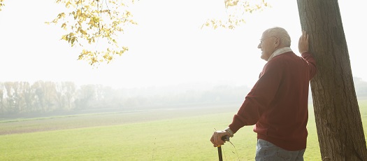  Bild: Alter Mann lehnt an einem Baumstamm. Genie�en Sie im Alter den Ausblick auf Ihre private Rente. 